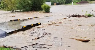 শক্তিশালী ঝড়ে বিপর্যস্ত নিউজিল্যান্ড